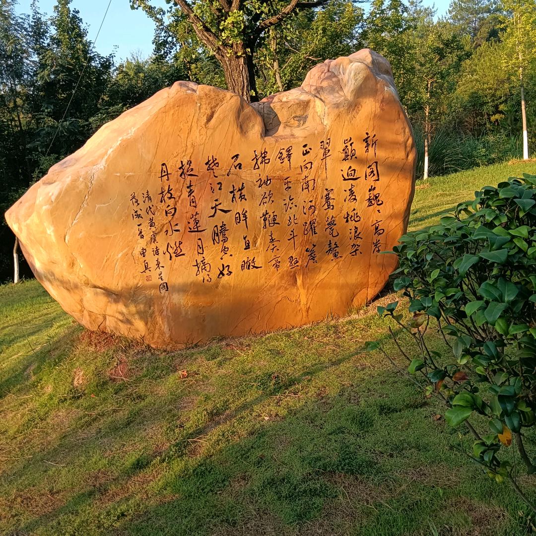 坚持初心