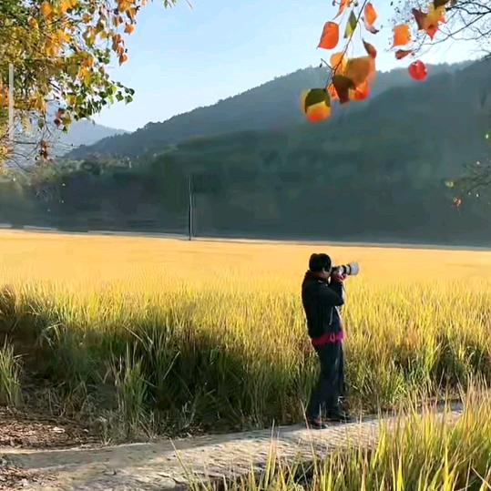 @景致