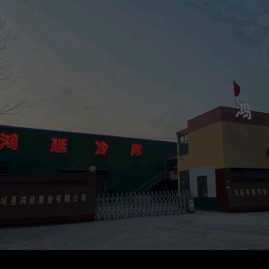 鸿运当头（好物分享）