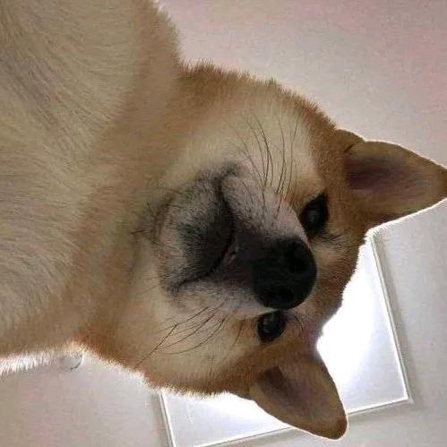 陌路人