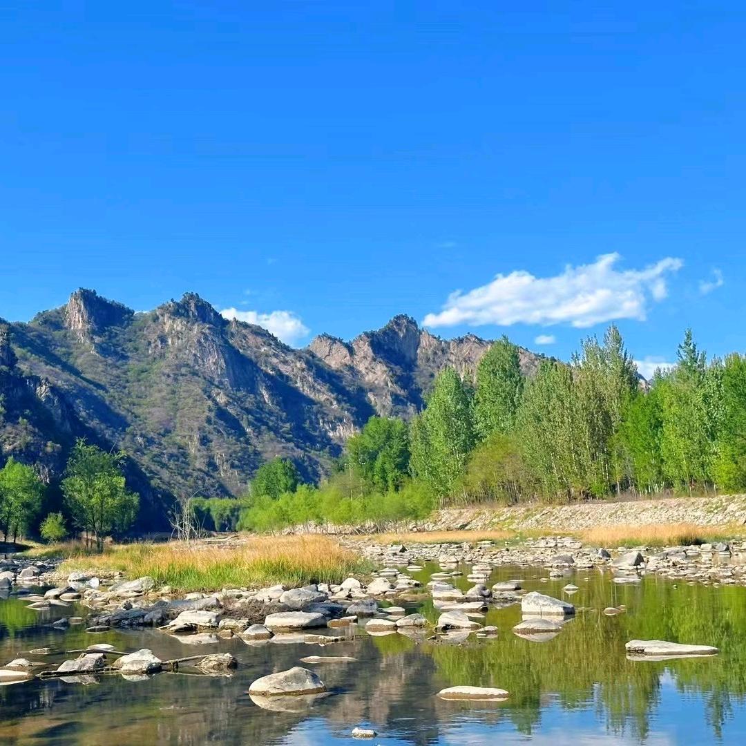中朗建投__智缘