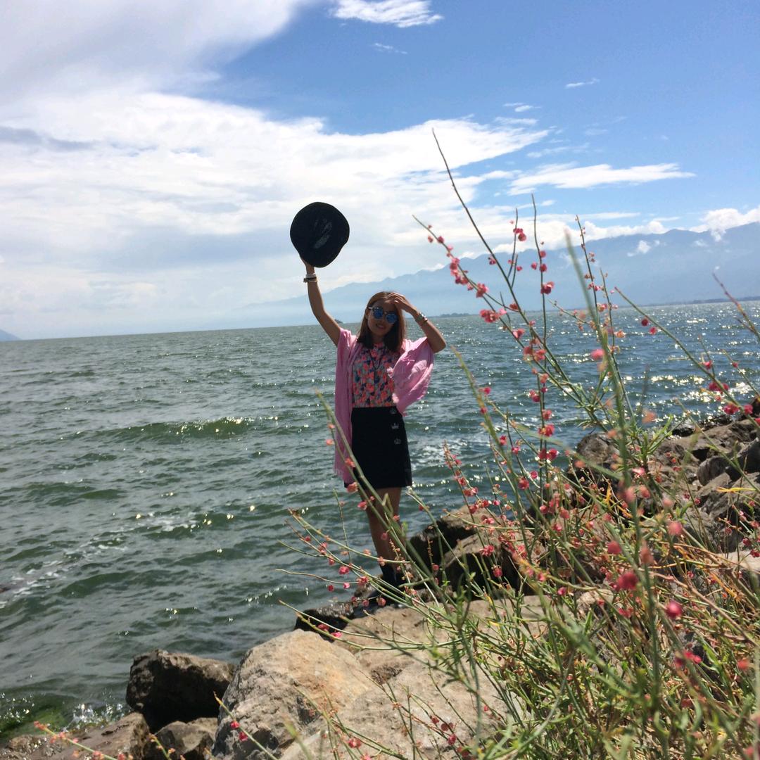 依稀可见（花开向阳）