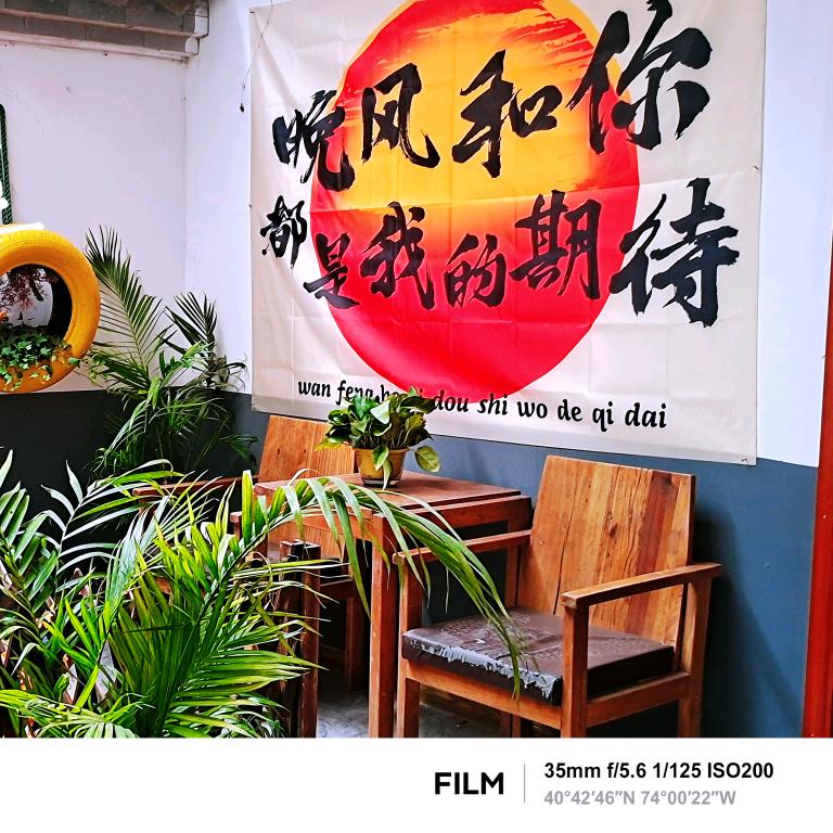 努力发光的雪姐