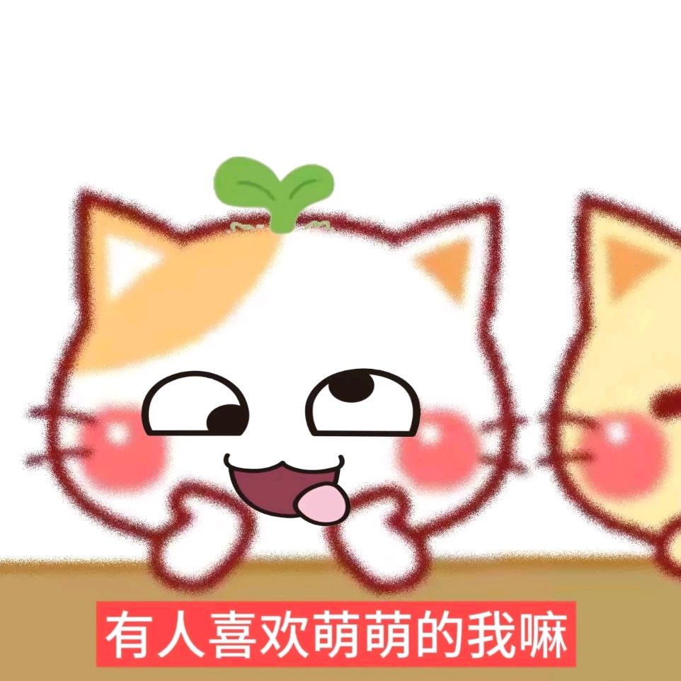 小ᗢ苗发什么呆