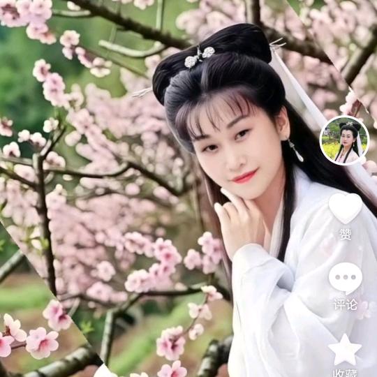 🌹🌹🌷🌷🌹🌷