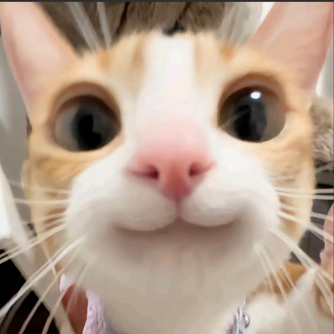 A3（努力练琴版）