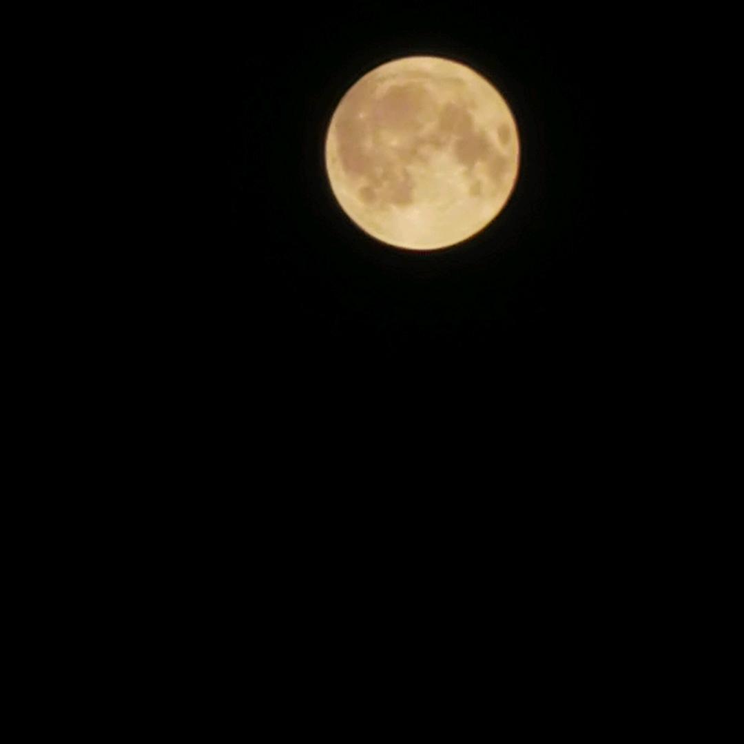 香橙喜乐朵蔓婴童服饰店