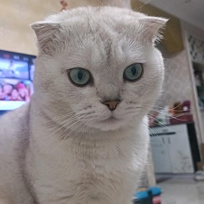 我心依旧