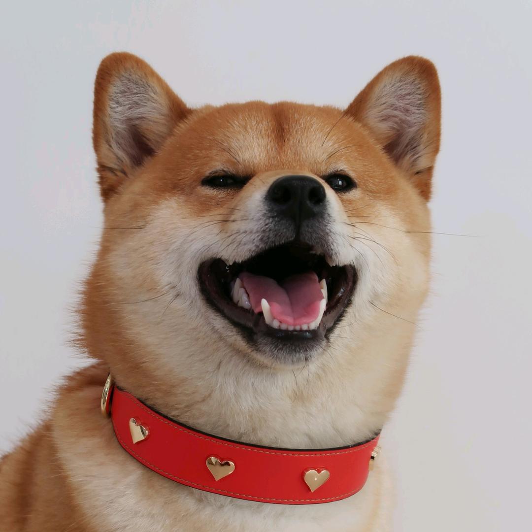 旺仔小魔头