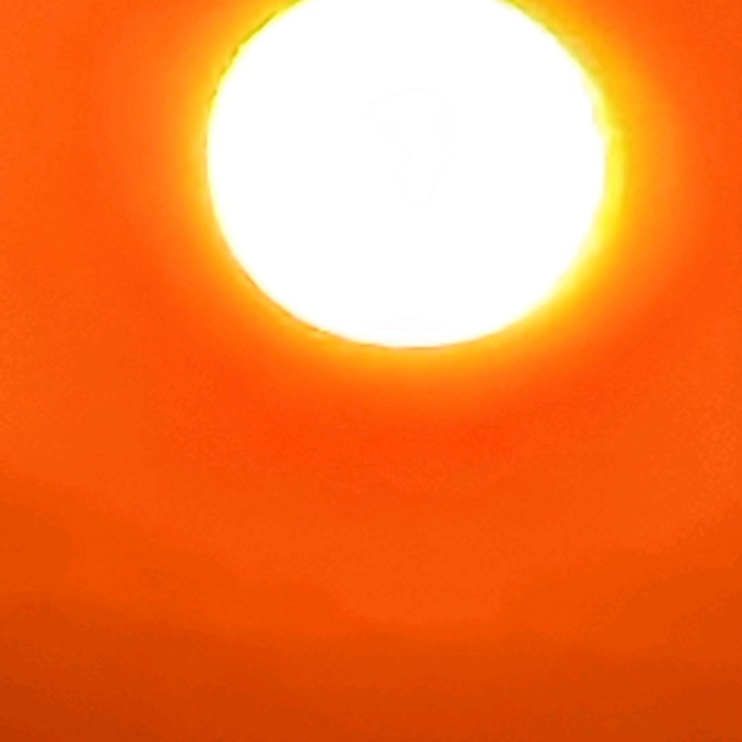 林海集团