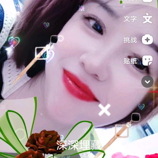 九月菊花