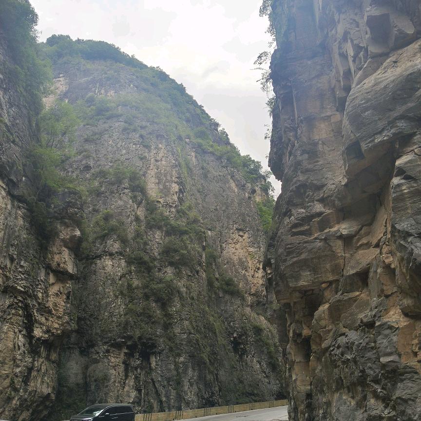 升学规划吴老师