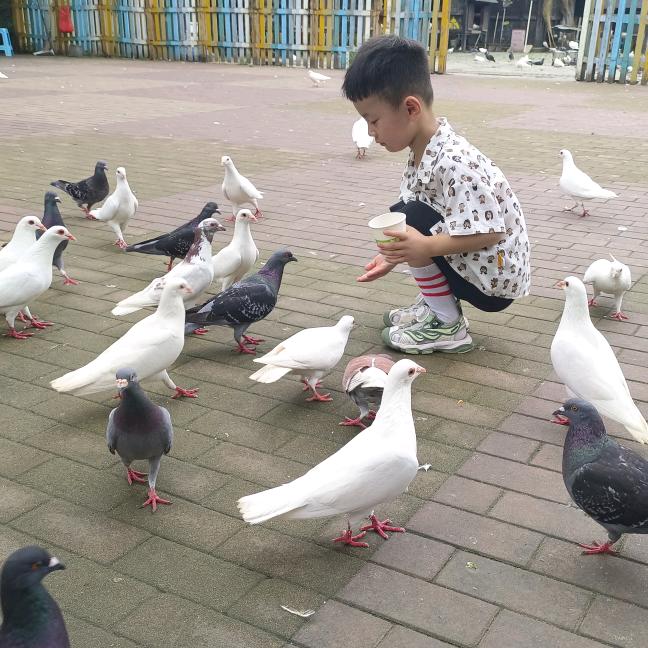 阿耀麻麻
