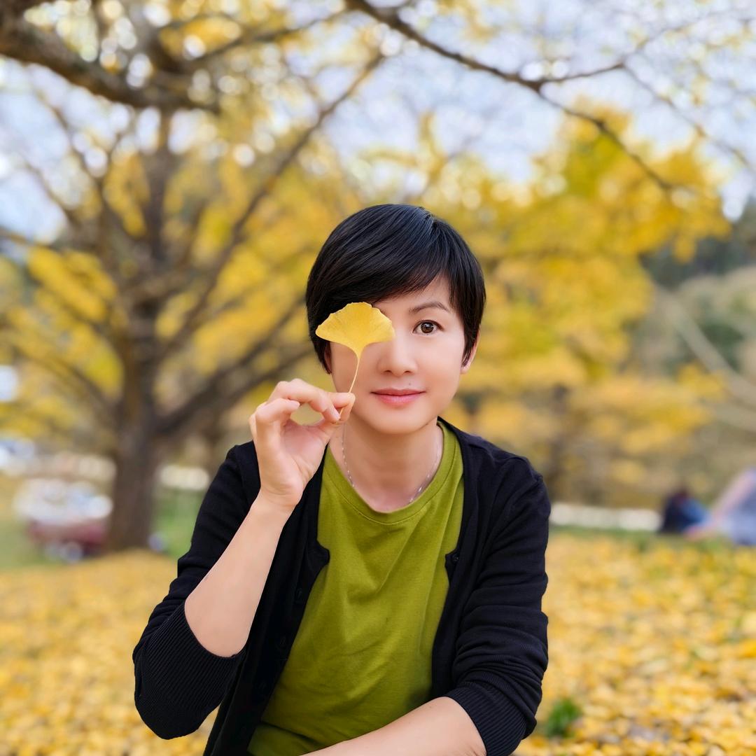 梦粒（中午12:12）