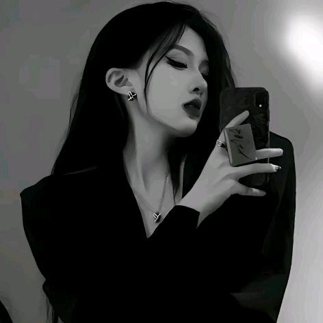 可摘星陈