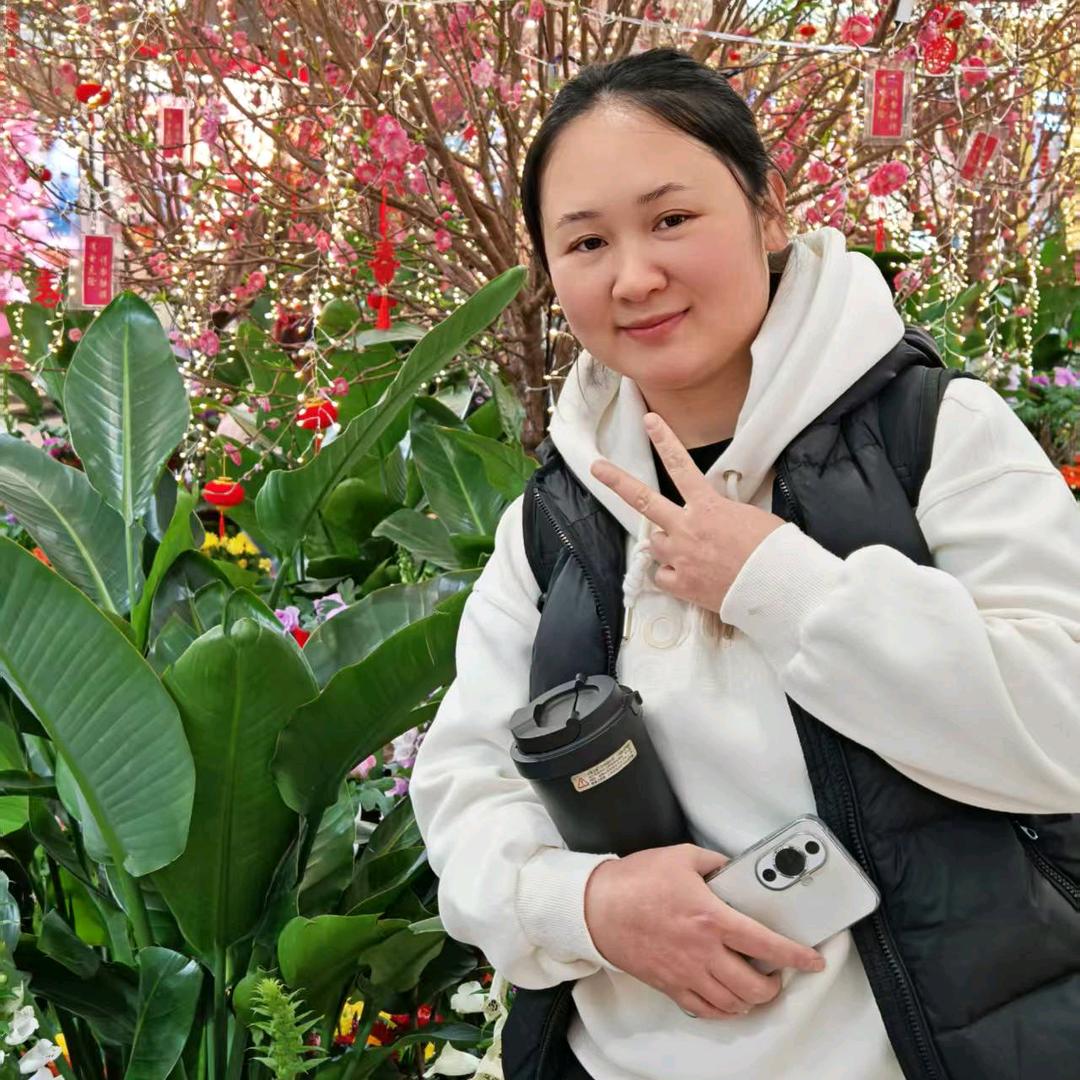 凤®潮汕猪杂汤粉