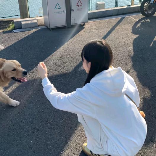 小小小小F