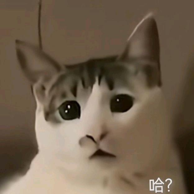 七喵🧊°