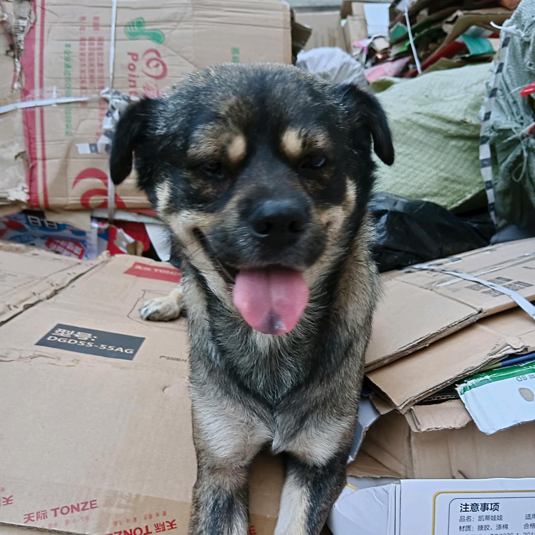 时见·Seetime穿戴甲