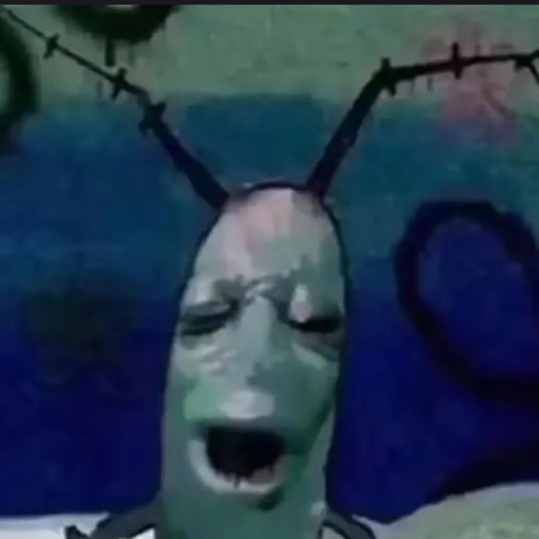树独
