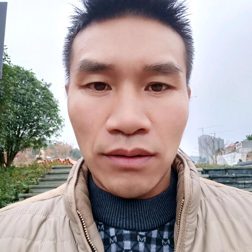 业余养蜂人