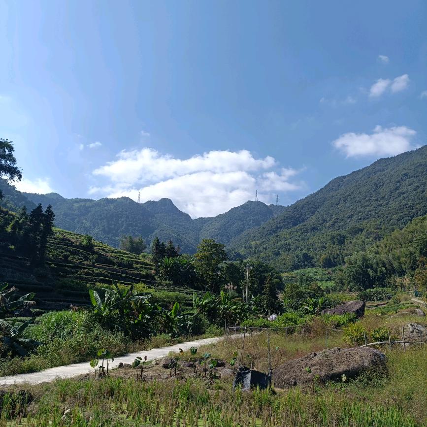 花生🥜🥜🥜🥜🥜🥜🥜🥜🥜