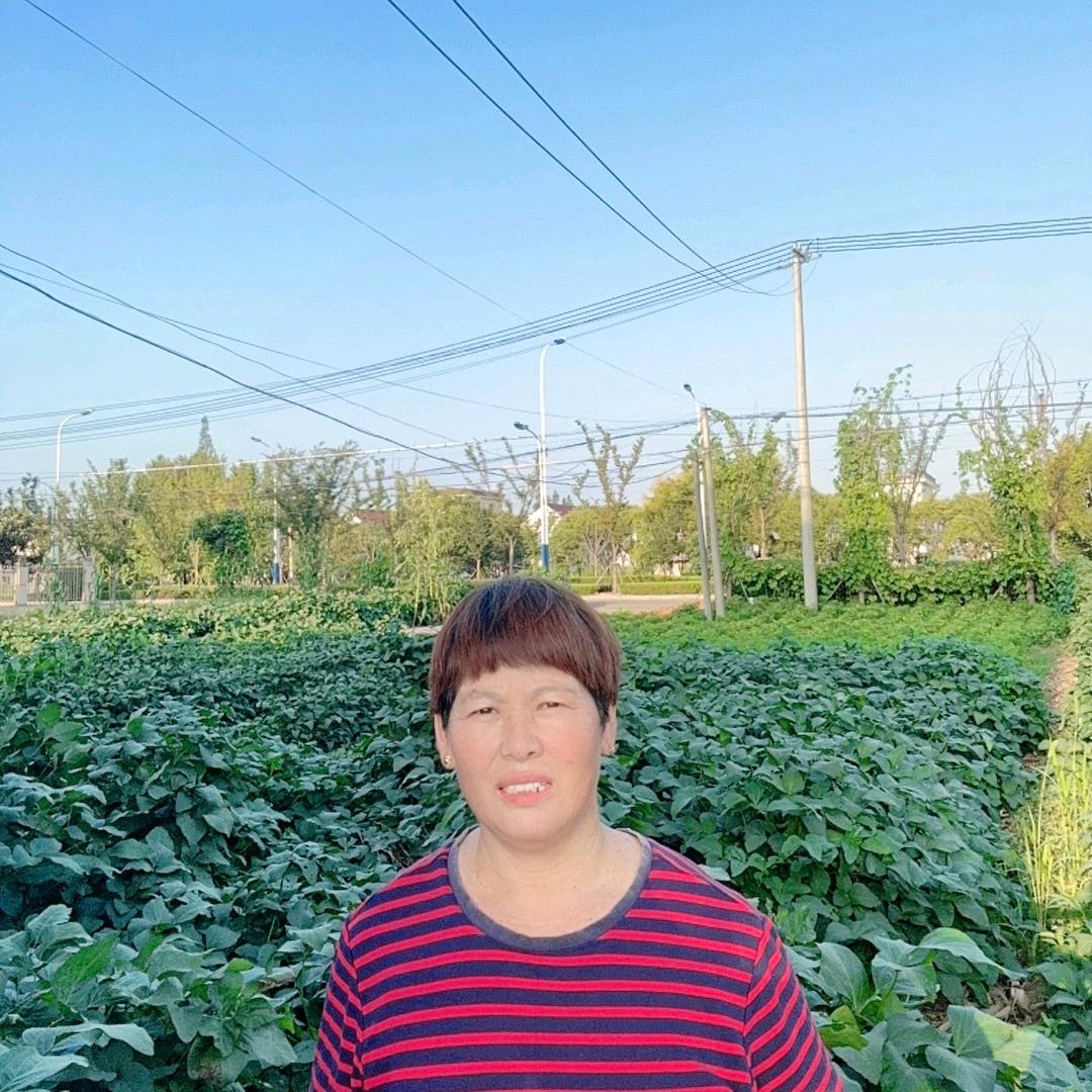 美子（小号）首播12点30分