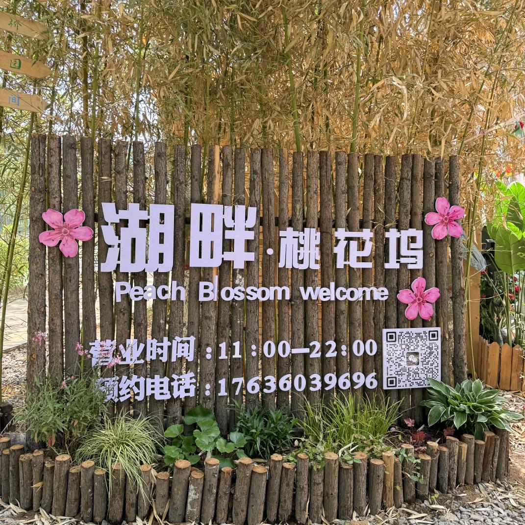 湖畔·桃花坞