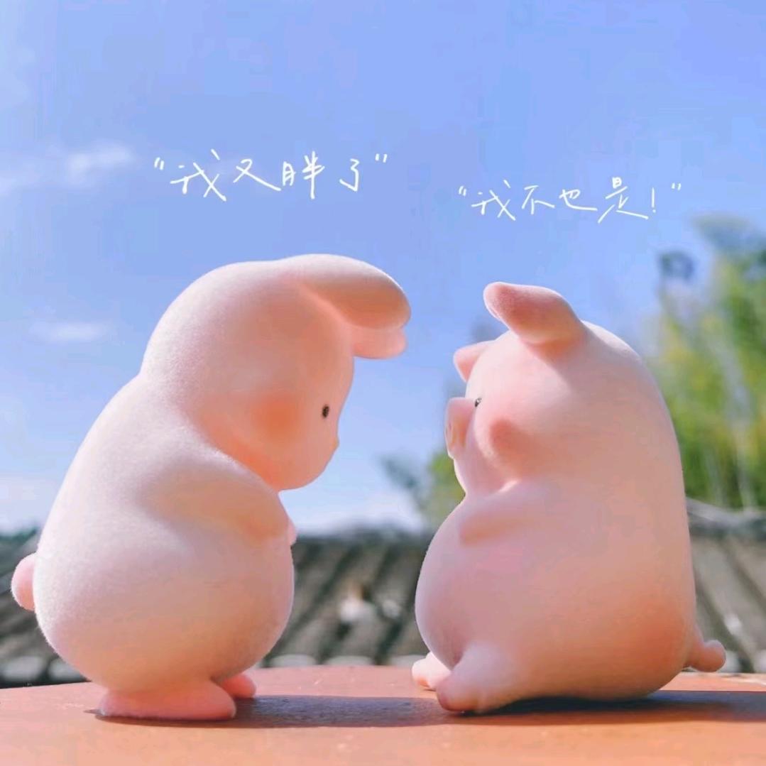 🌈翔仔