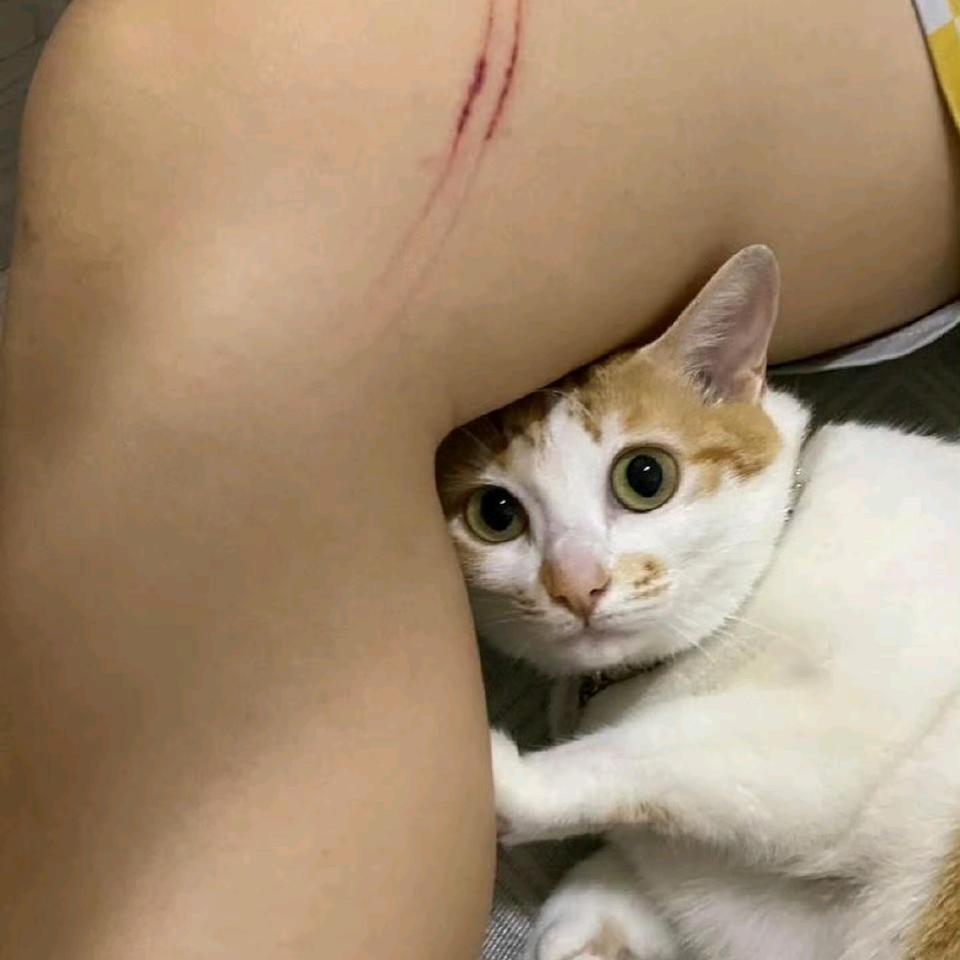 在戴斯诺特里写满