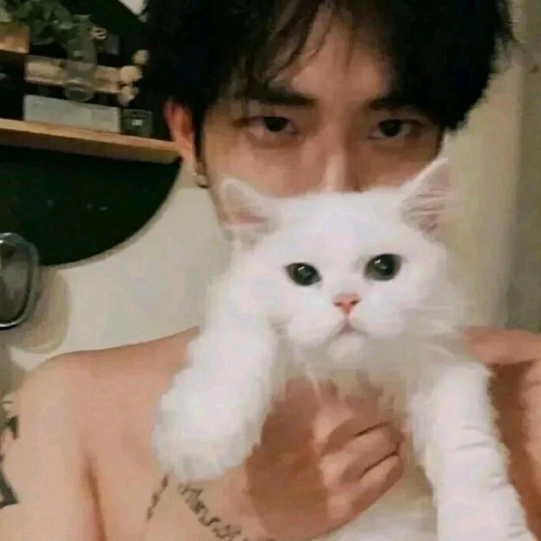 不想睡觉💤