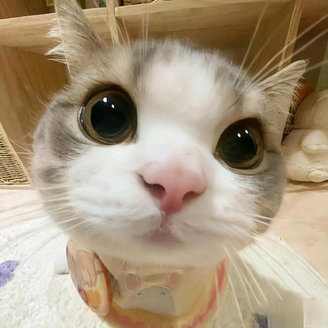 赫敏💜