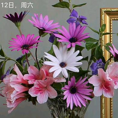 范恒源