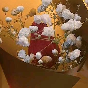 升起的太阳☀️☀️