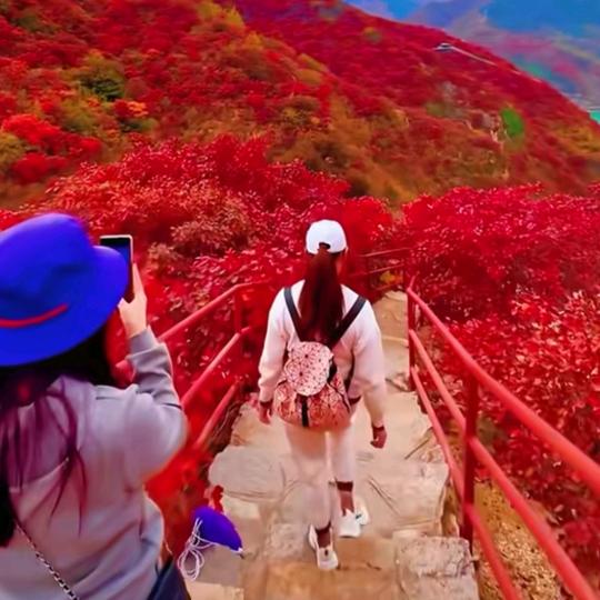 🇨🇳五谷杂粮好吃爆米花