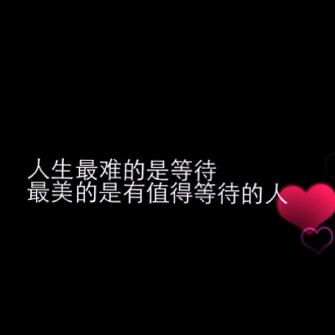 “杨帆启航”