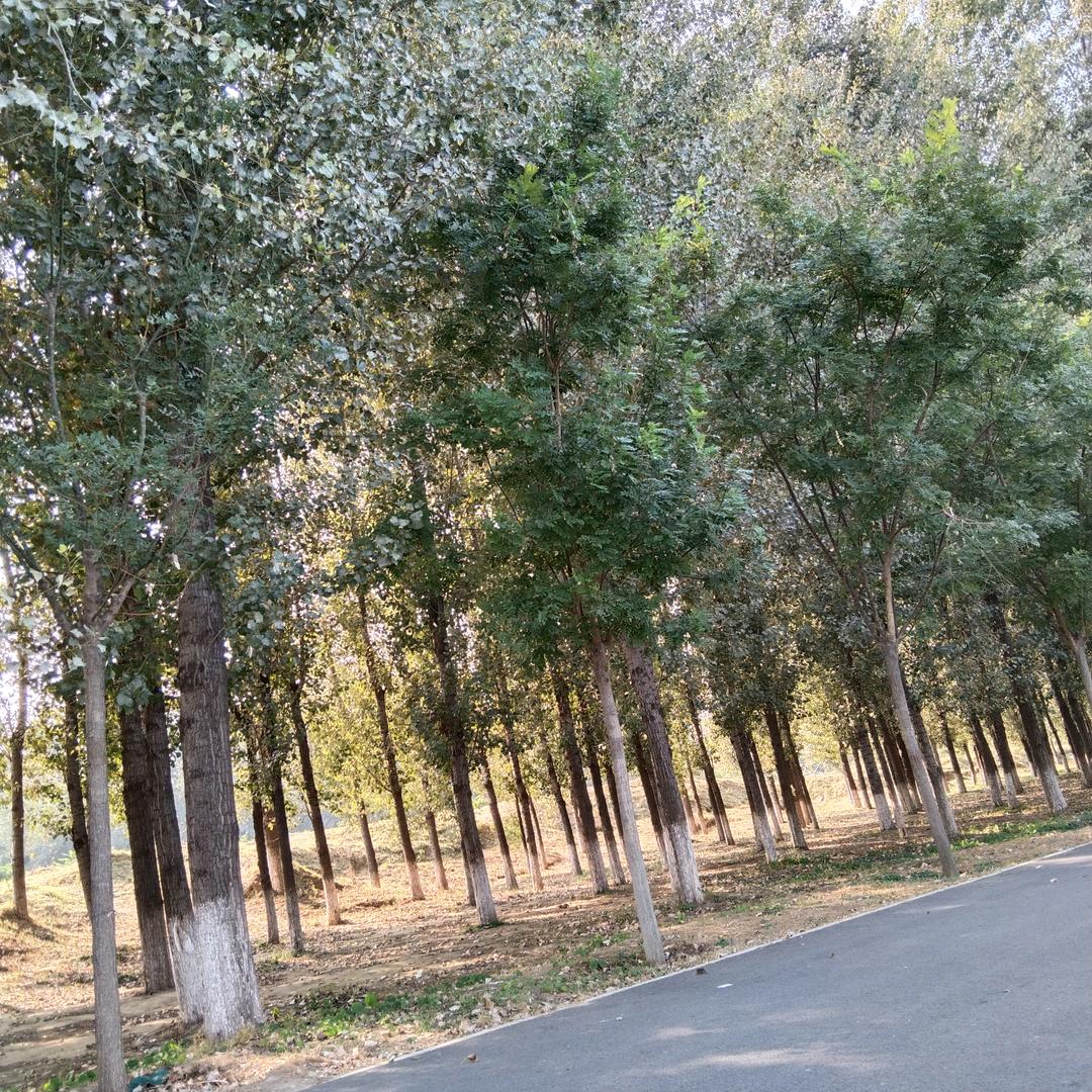 陈一