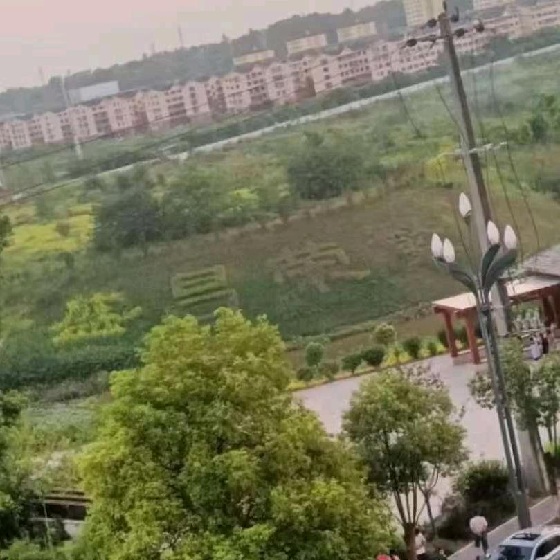 冰雨（荣昌莉莉姐）