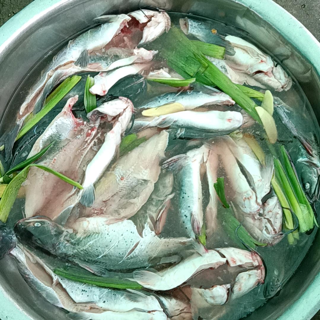 青青河边草~开州区农村人