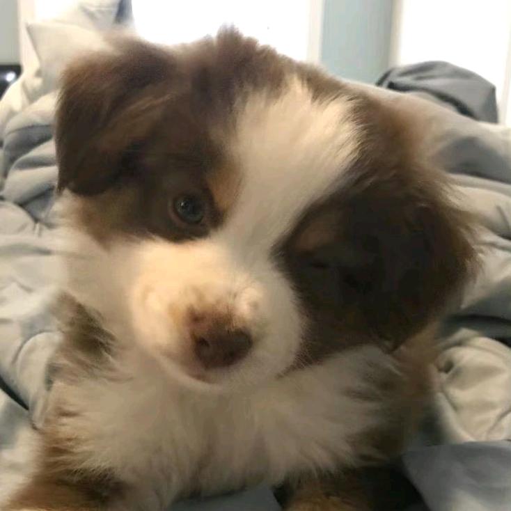 潘潘美食打卡地