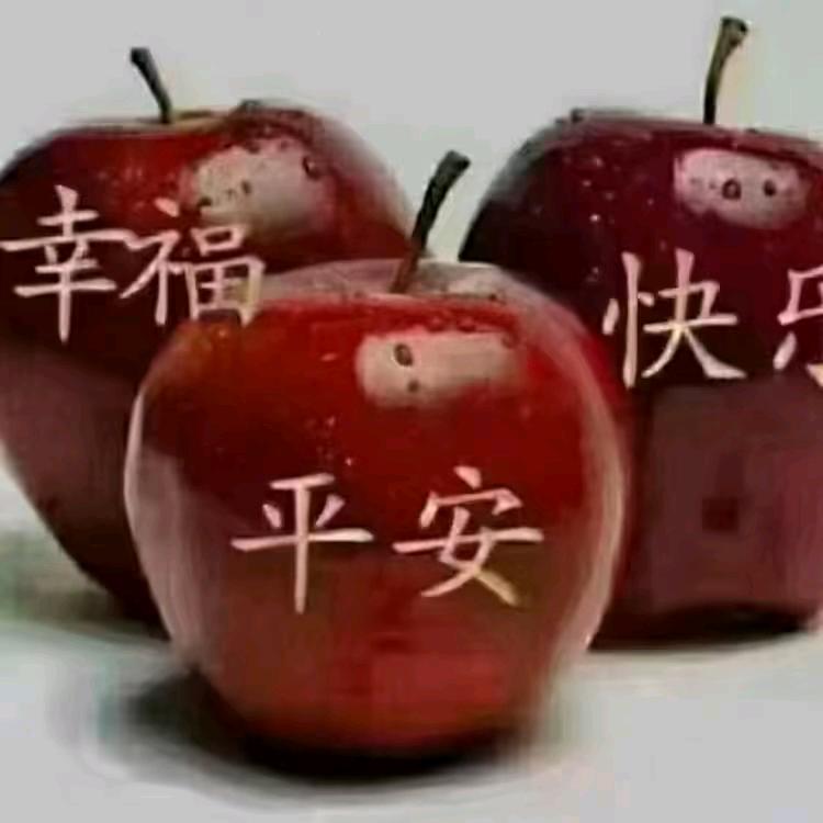 好运天天有