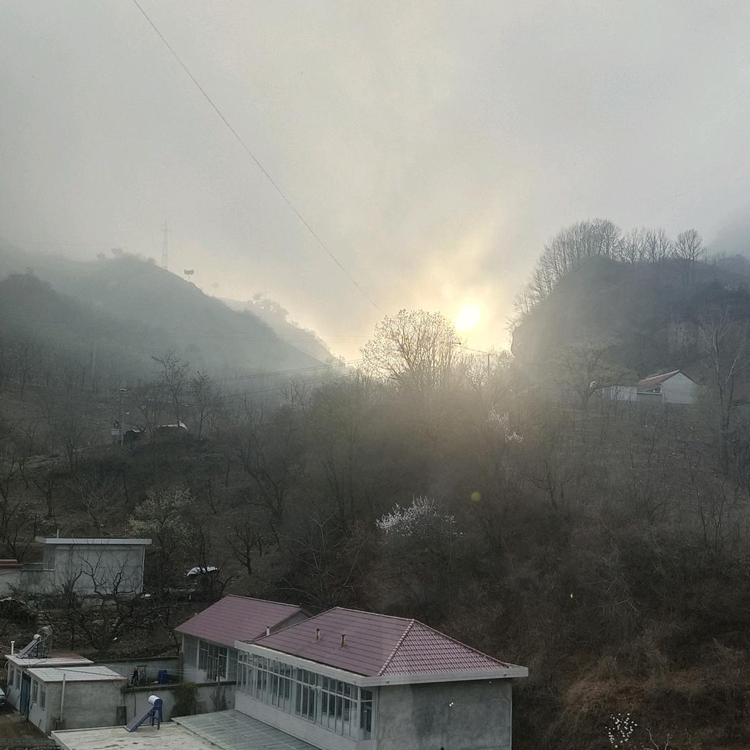 小五哥