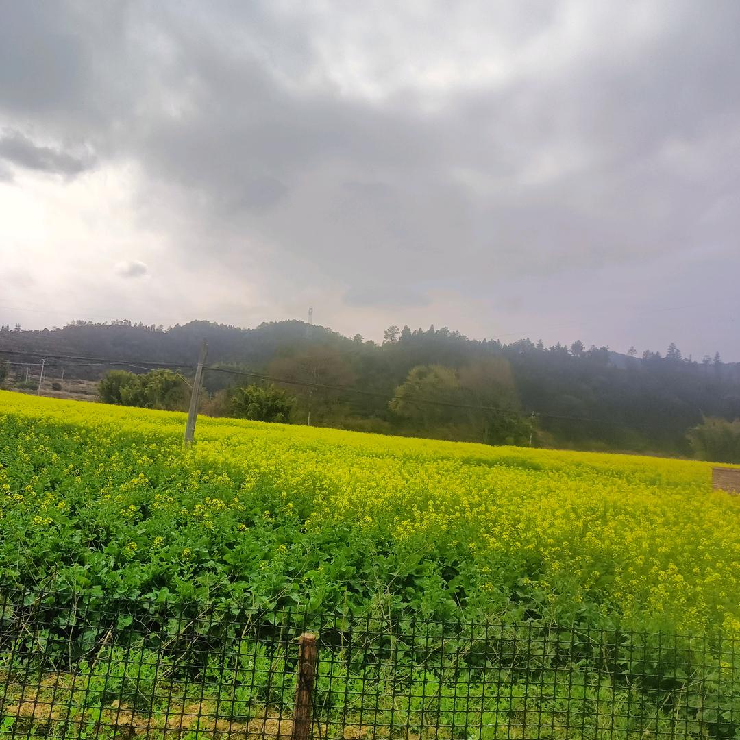 っ'-')╮情有独钟=͟͟͞͞🏀