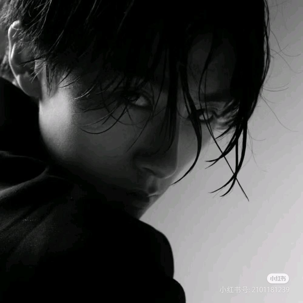 叔野（声音鉴定）