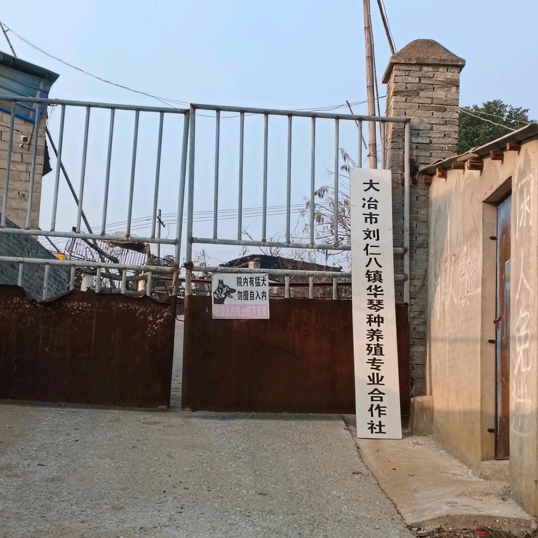 刘昌