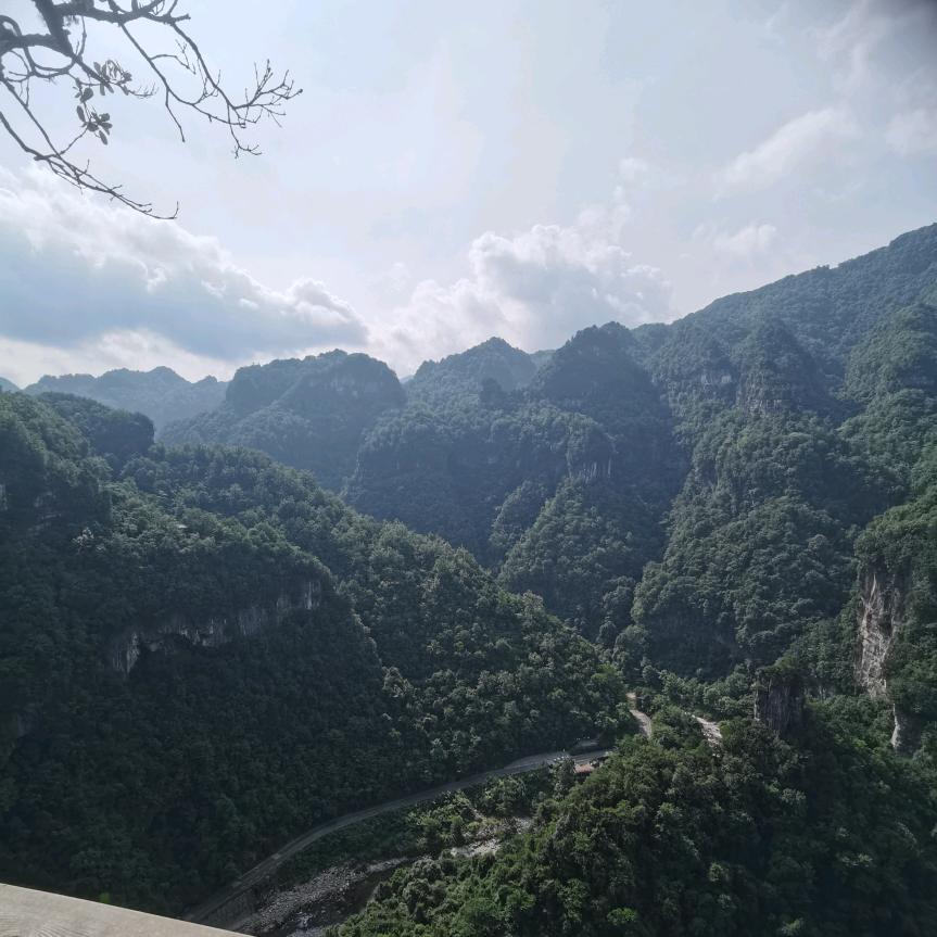 心心相印