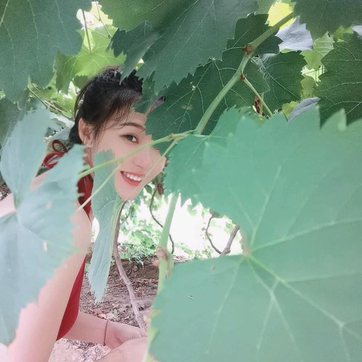 是小书吖🍒