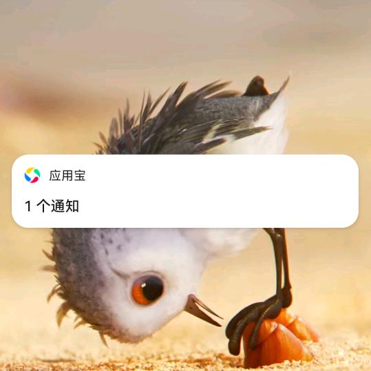 苟家妹儿