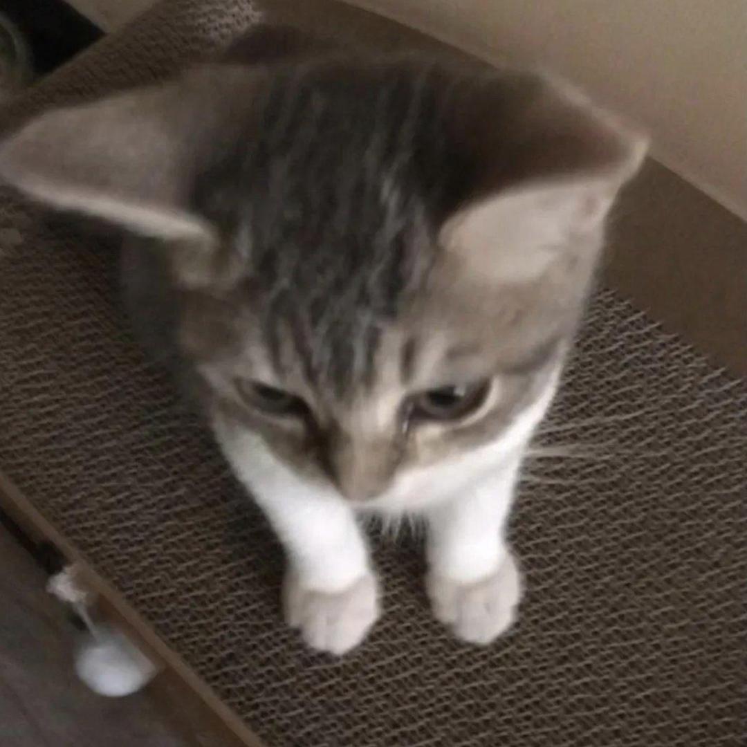 ᅟᅠᅟᅠᅟᅠᅟᅠ  ᅟᅠ