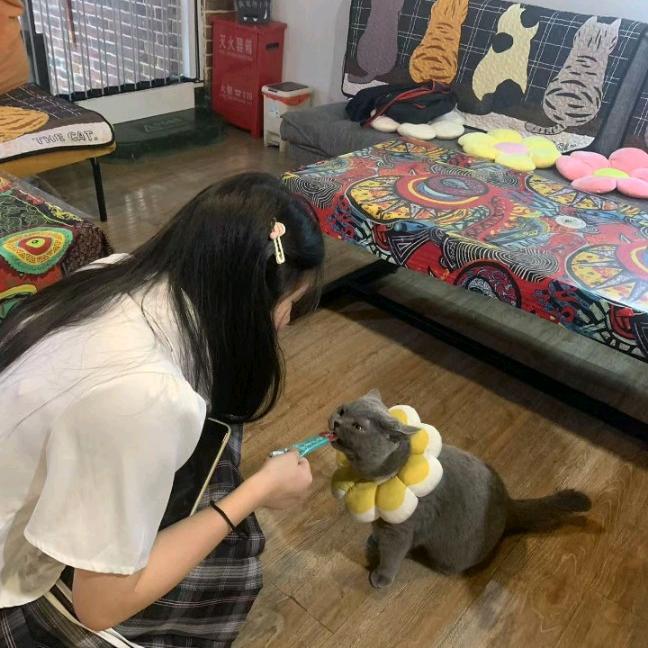 男德辅导员